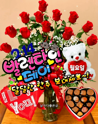 발렌타인데이 초콜릿(2/14) 201