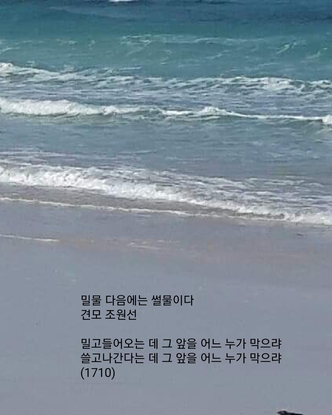 밀물 이미지