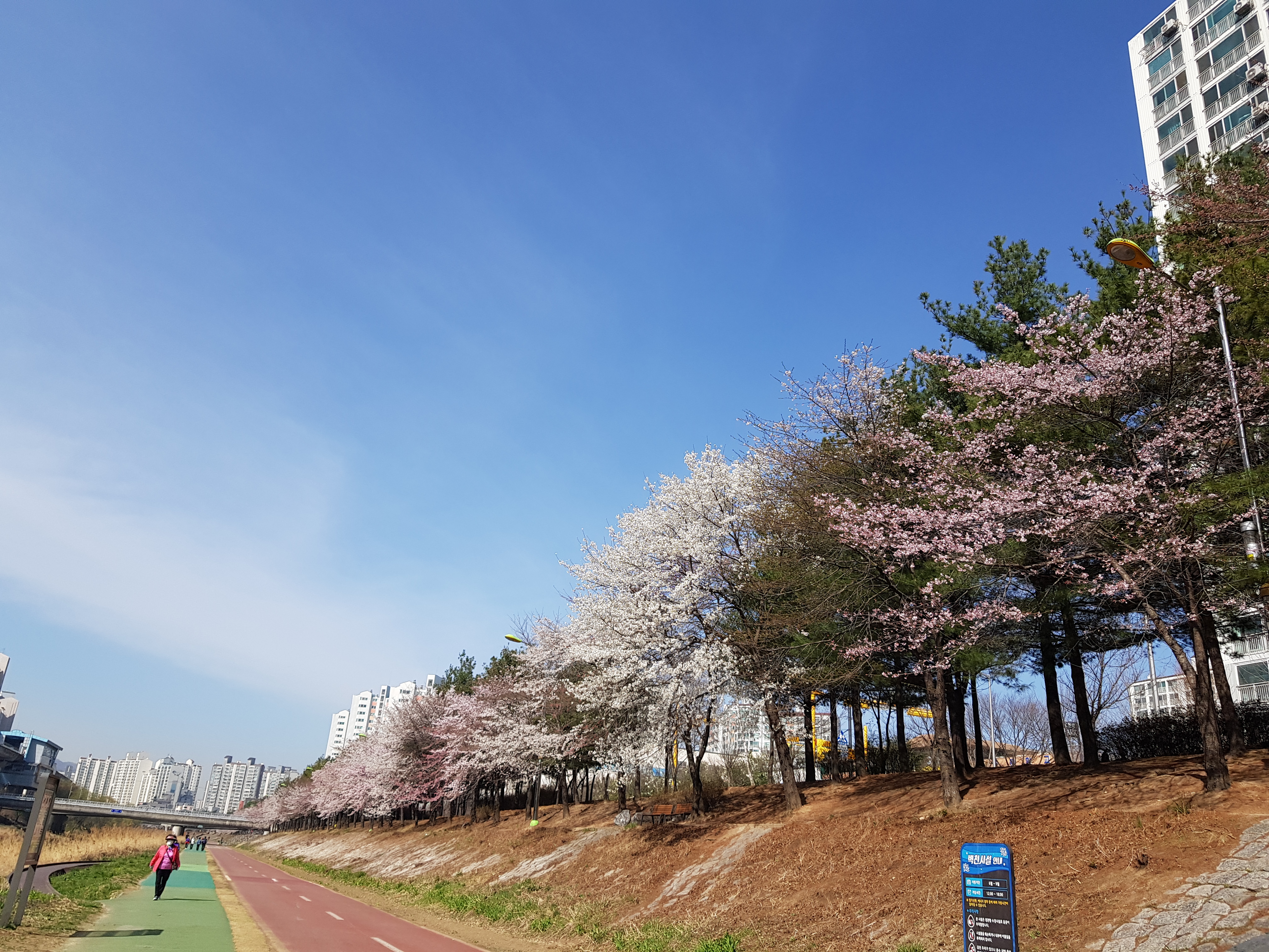  도서관책에 줄 긋는 사람의 심리는 뭘까?