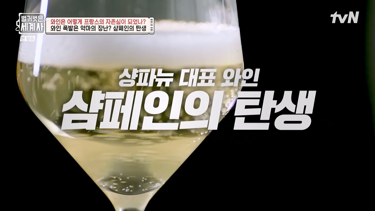 벌거벗은 세계사.E121.231018p-NEXT.mp4_20240518_165537.085.jpg