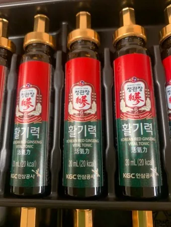 정관장 홍삼정 홍삼원 활기력 홍삼진고 추천_9