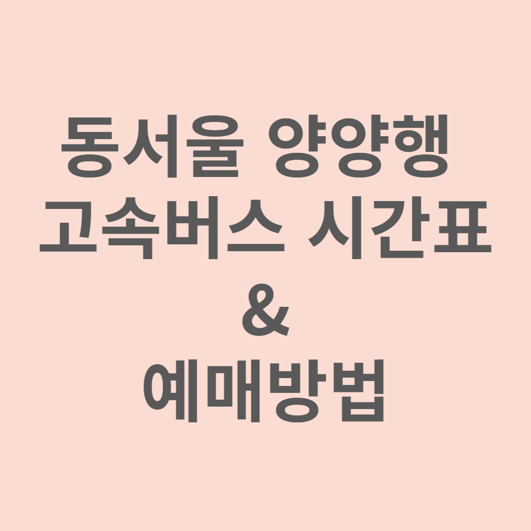 동서울에서 양양행 고속버스 시간표 및 예매 방법