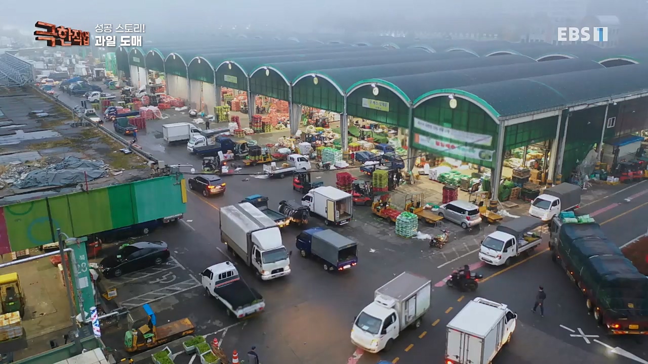 TV - 교육의 중심 EBS성공 스토리! 쪽파 재배와 과일 도매.mp4_20221209_203605.261.jpg
