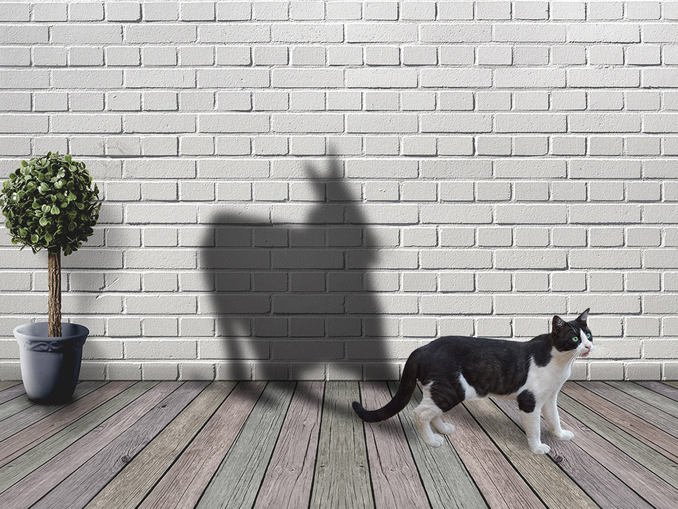 포토샵 꺾인 그림자 만들기