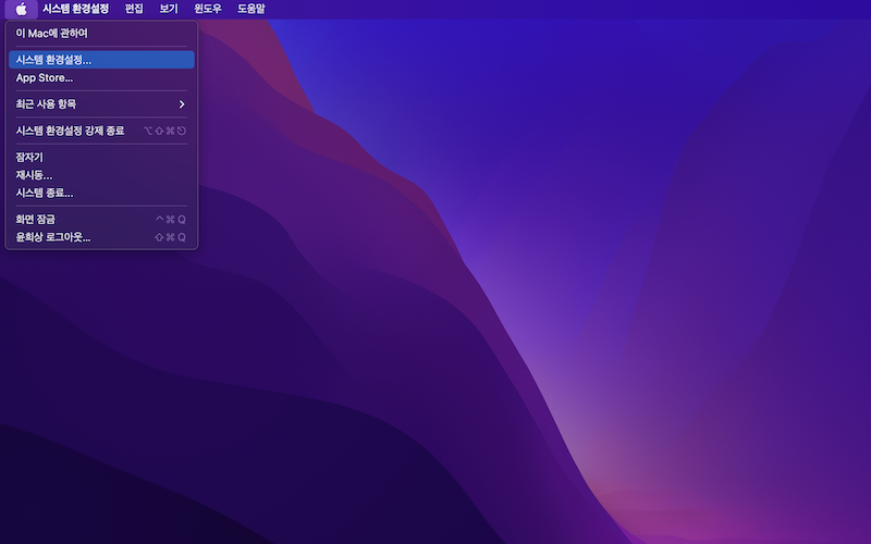 시스템 환경 설정 화면