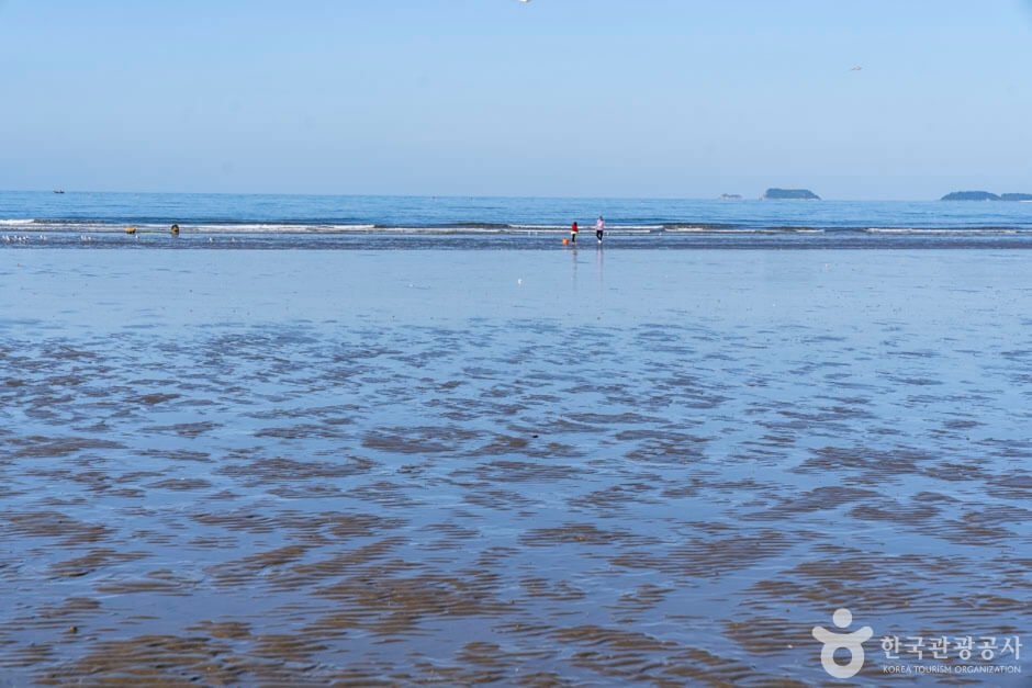 서해 해수욕장 개장일 및 상세정보 확인하기