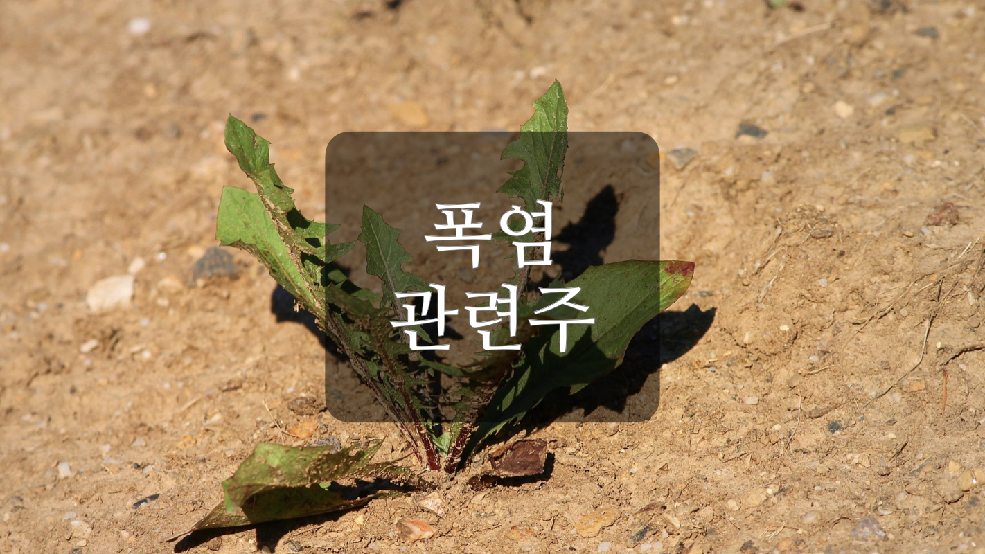  폭염, 여름 관련주+
