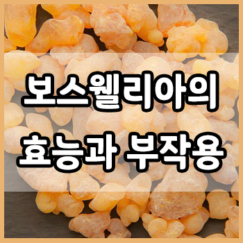  보스웰리아 : 보스웰리아의 효능과 부작용