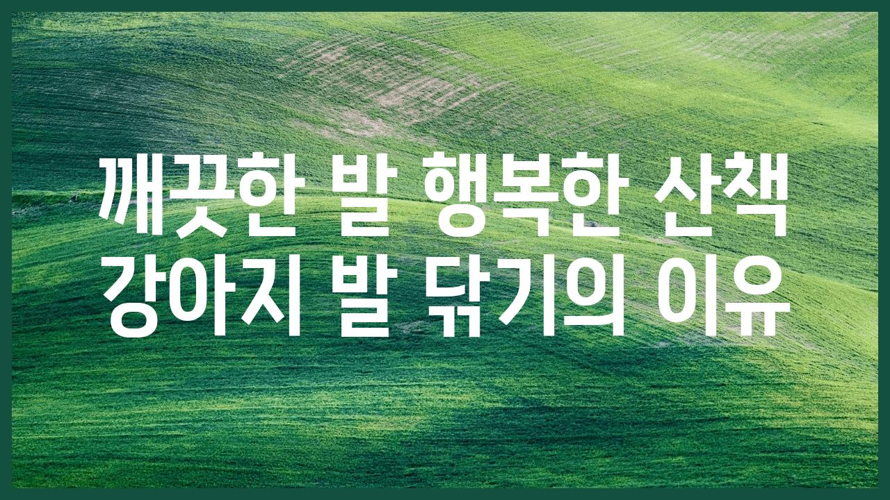 깨끗한 발 행복한 산책 강아지 발 닦기의 이유