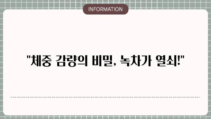 다이어트 녹차
