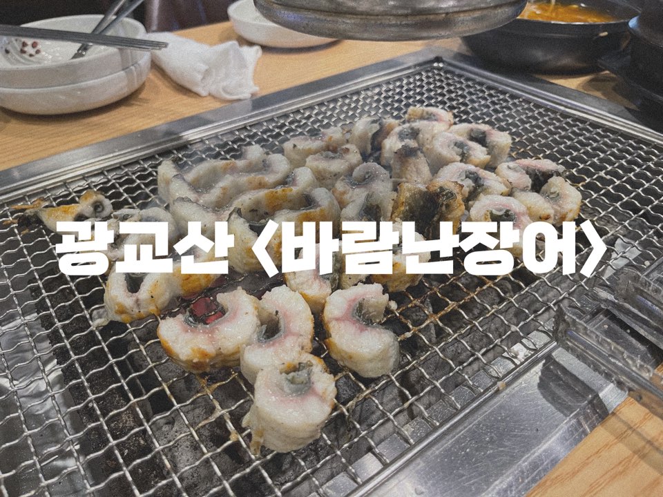 바람난장어 이미지