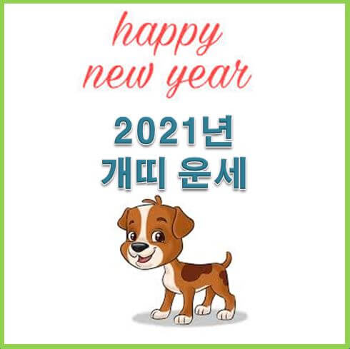  2021년 개띠 운세 대박~!