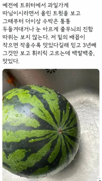 맛있는 수박 고르는법 5가지 feat 좋은 수박 암수 구별법_18