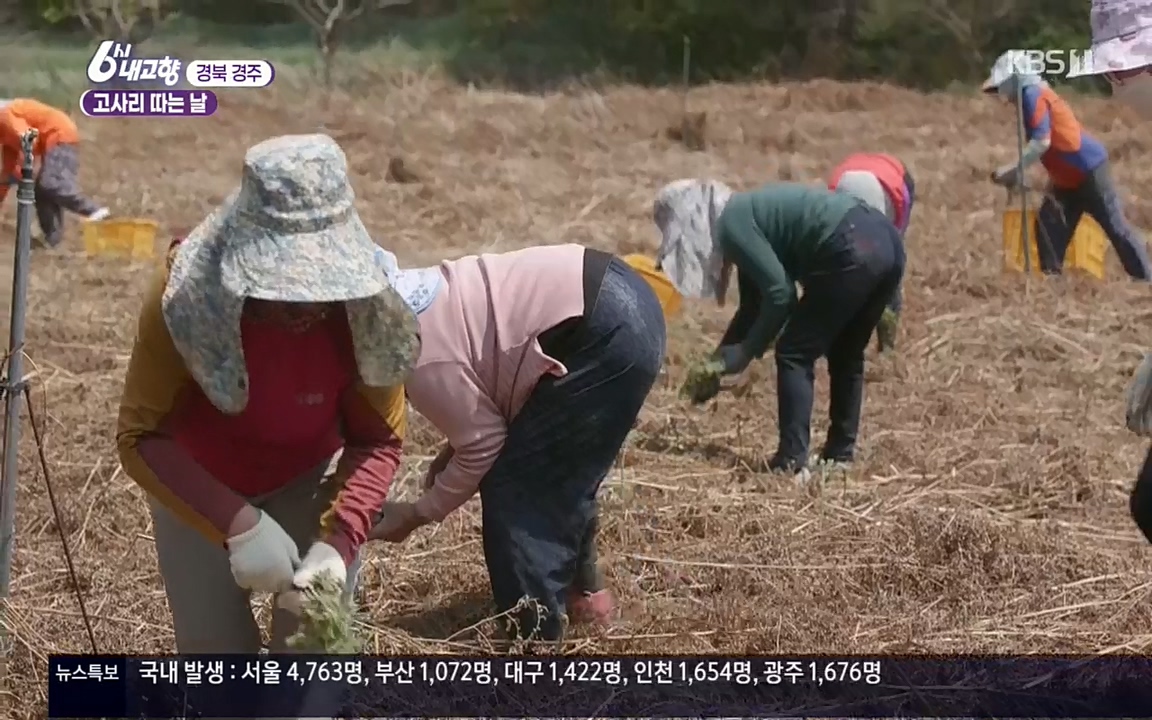 6시 내고향.E7518.220426p.H264-F1RST.mp4_20220504_190726.350.jpg