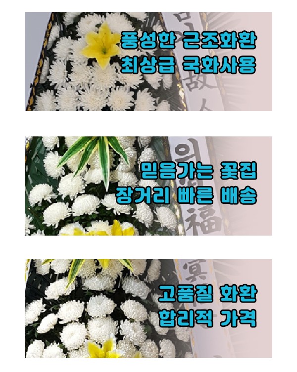 천지장례식장근조화환꽃집 이미지