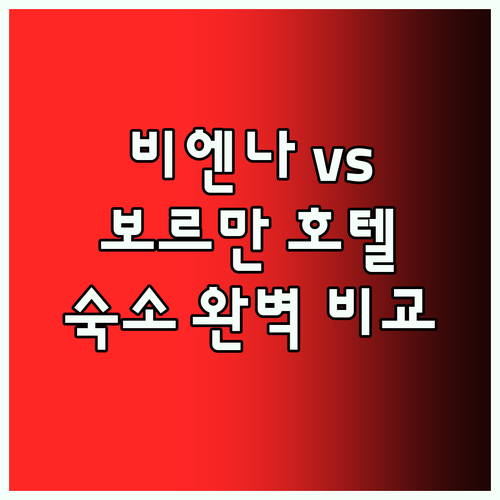 비엔나 호텔 vs Borrman 호텔