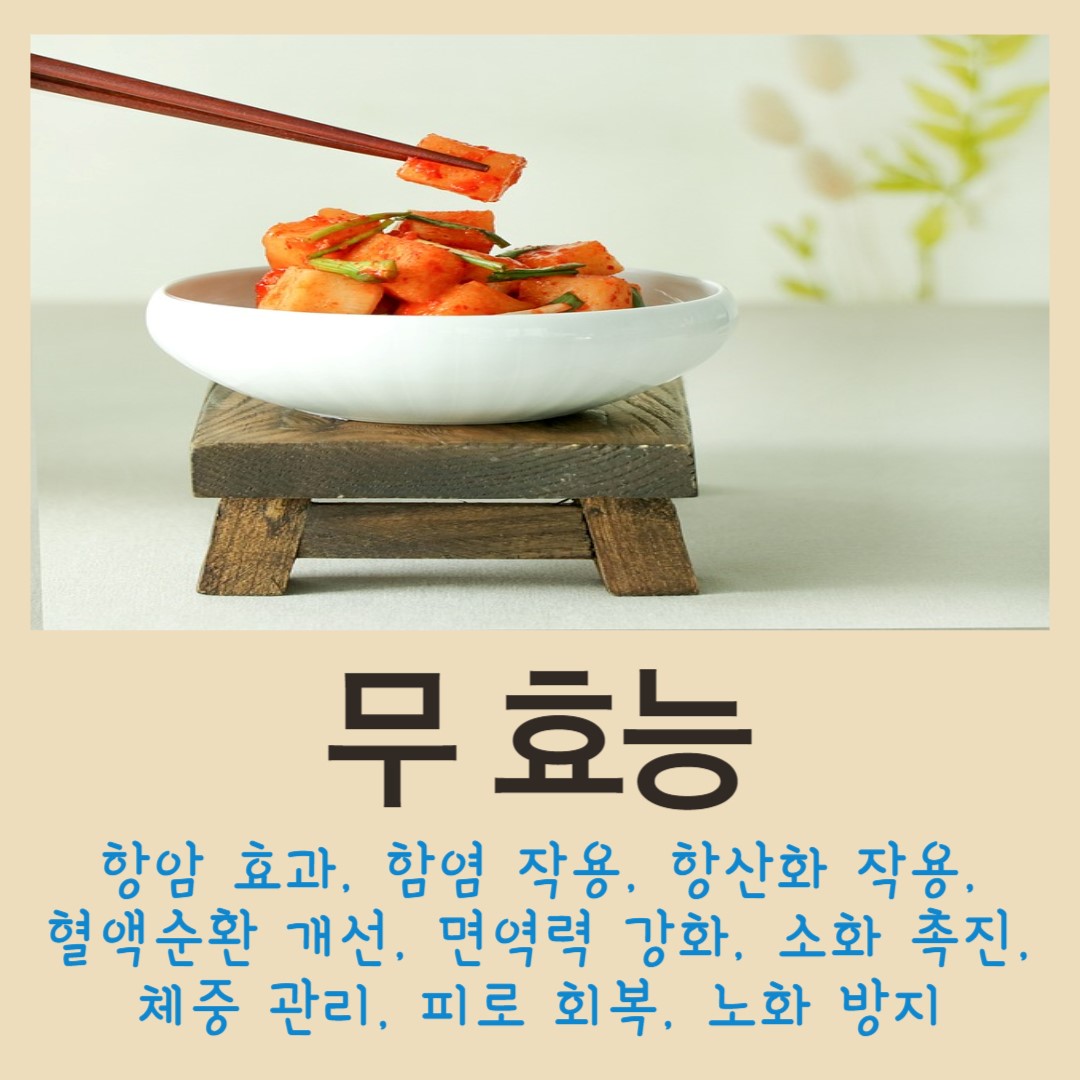 무-효능에-대한-설명과-깍두기-사진