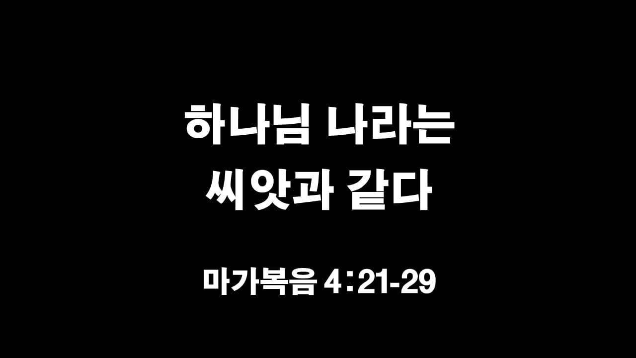 마가복음 4장 21절-29절&#44; 하나님 나라는 씨앗과 같다 - 생명의 삶 큐티 새벽설