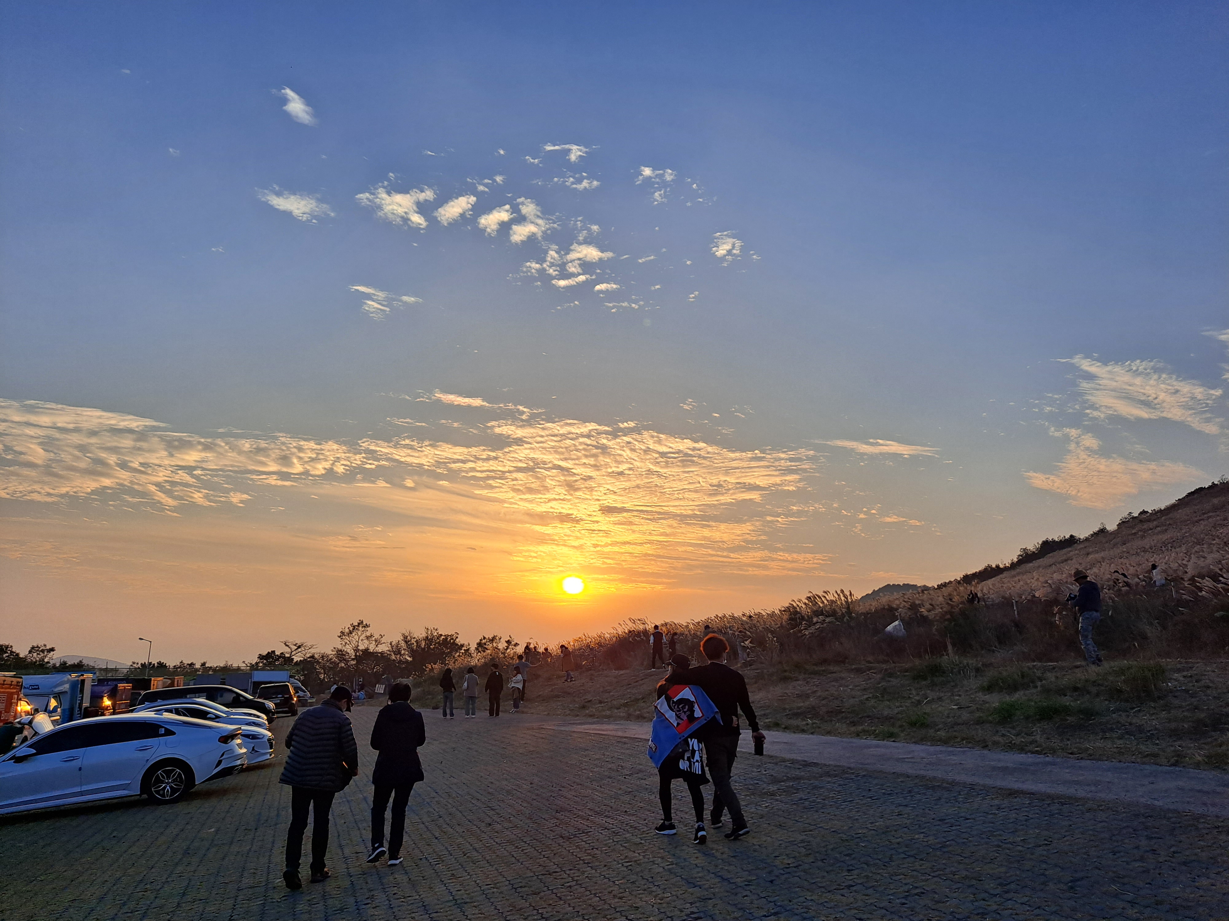 제주도-가볼만한곳-10곳-새별오름