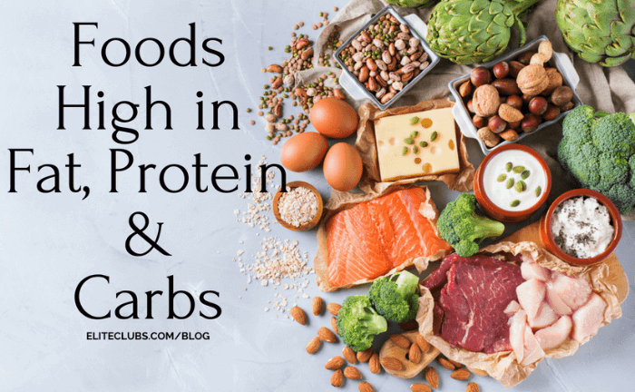 단백질과 건강한 지방에 집중