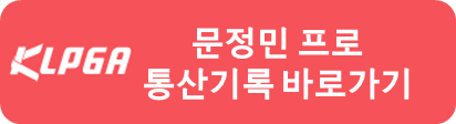 문정민 프로 통산기록