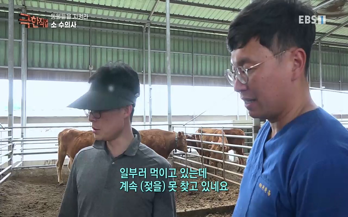 TV - 교육의 중심 EBS동물들을 지켜라, 수의사와 유기 동물 구조팀.mp4_20220913_200151.049.jpg