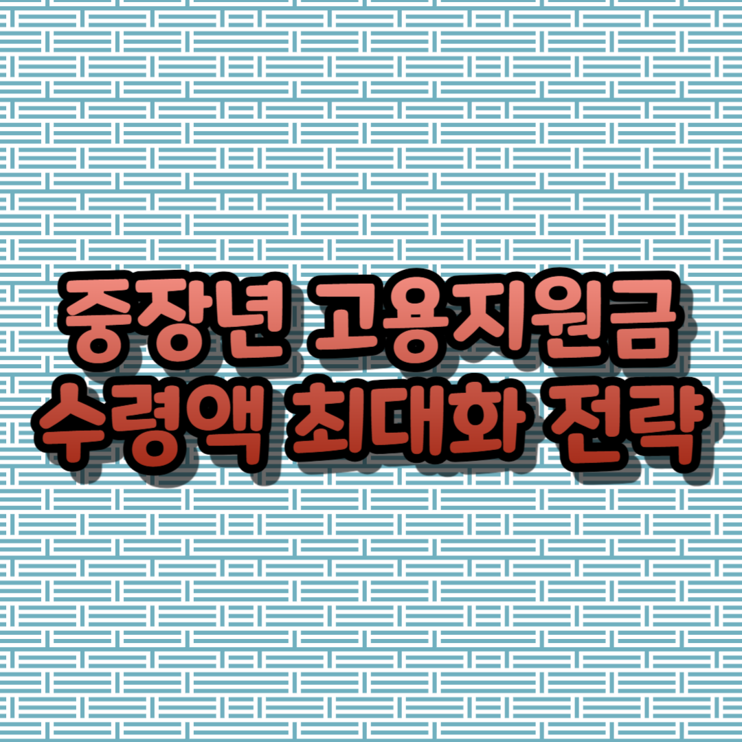 중장년 고용지원금 수령액 최대화 전략