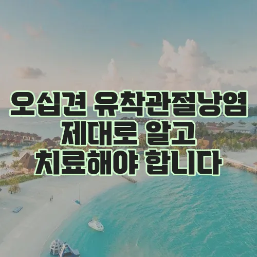 오십견 유착관절낭염 제대로 알고 치료해야 합니다
