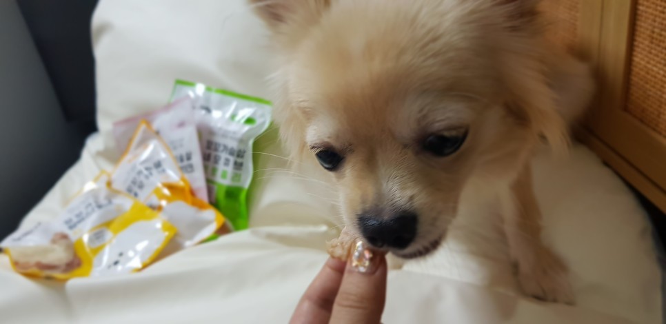 [강아지간식]허닭x핏펫몰 꼬꼬가슴살 맛있는 냄새로 7