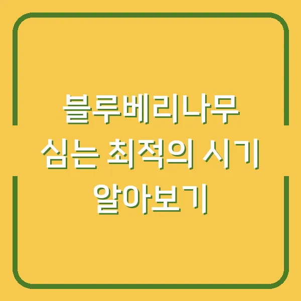 서울 및 주요 도시의 글루텐 프리 레스토랑 추천