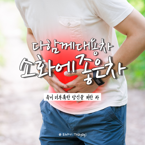  소화 불량 해결에 도움을 주는 차 총정리 (feat. 중국 차의 분류 방법)