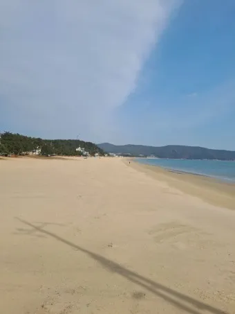 완도 청산도 배시간표 요금 배편 예약_19