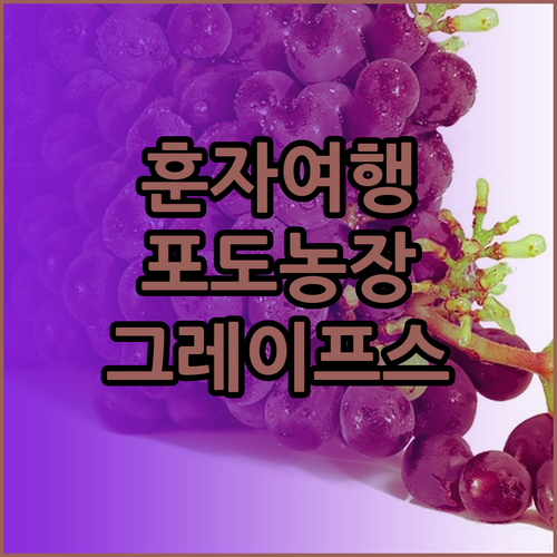 파키스탄 훈자 여행 준비 완료? 그레