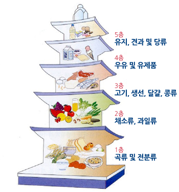 이유식