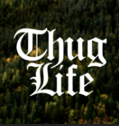  흑인문화 Thug 문화 떠그 문화 thug life는?