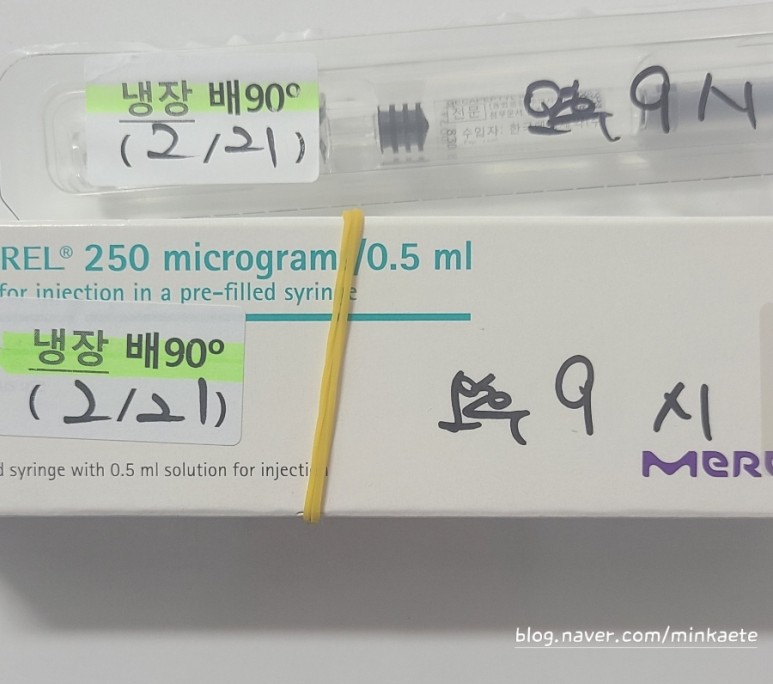  6. 난임 난저, 시험관 난자채취 전 준비(데카펩틸 부작용, 질정 넣는 법)