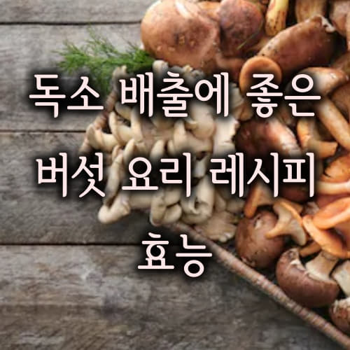  기력회복과 독소배출에 좋은 버섯 요리 만드는 방법 레시피(양송이버섯 수프, 양송이버섯 장아찌, 능이버섯 된장국, 능이버섯 가루, 갈색 팽이버섯 얼음 채소볶음 만드는 방법