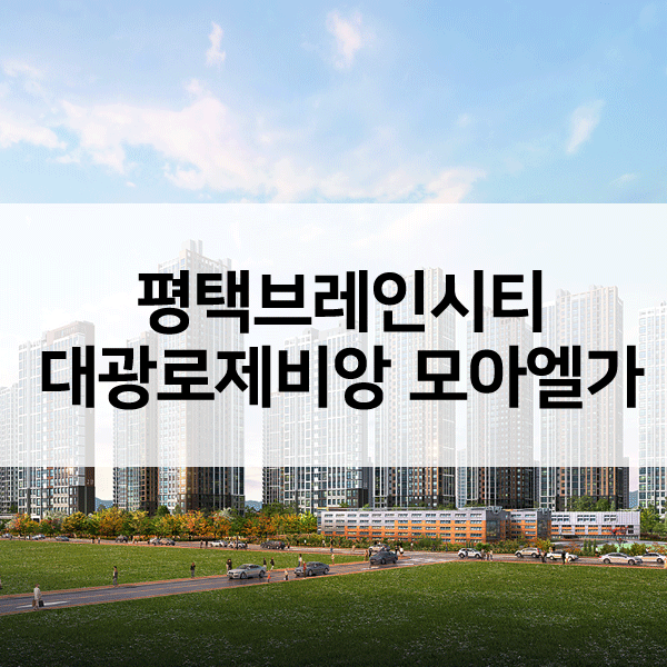 평택대광로제비앙모아엘가-1