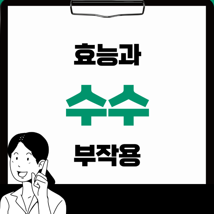  수수 효능 부작용 활용한 음식까지 제대로 알아보기