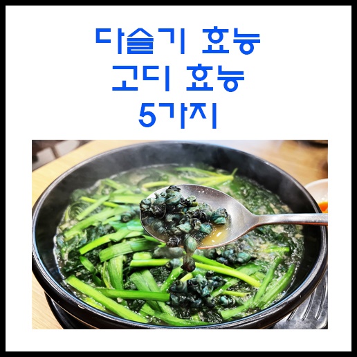 성장기 어린이와 간 건강에 좋은 다슬기 효능 다슬기 부작용