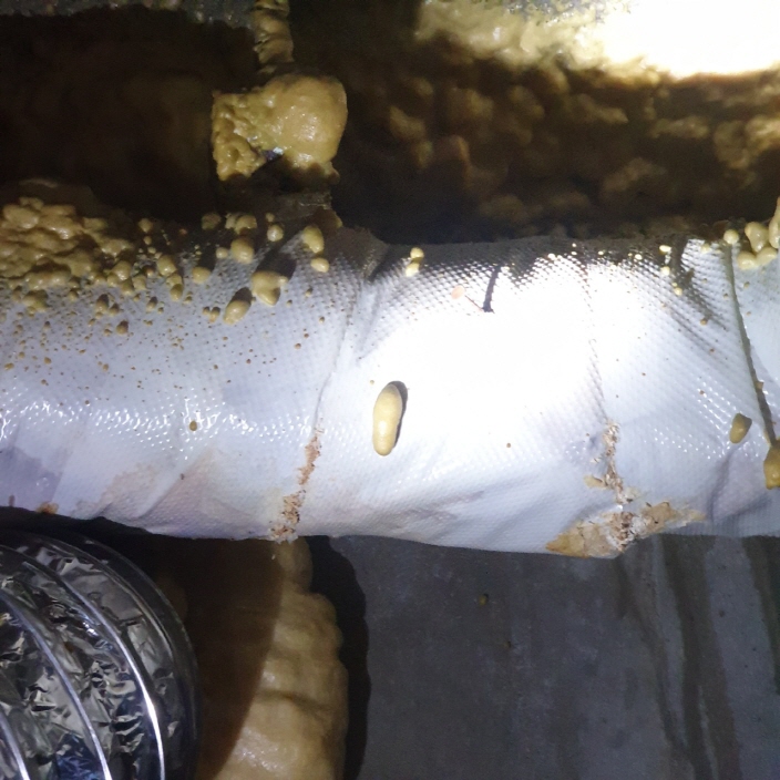 서운동, 박촌동 하수구막힘, 3