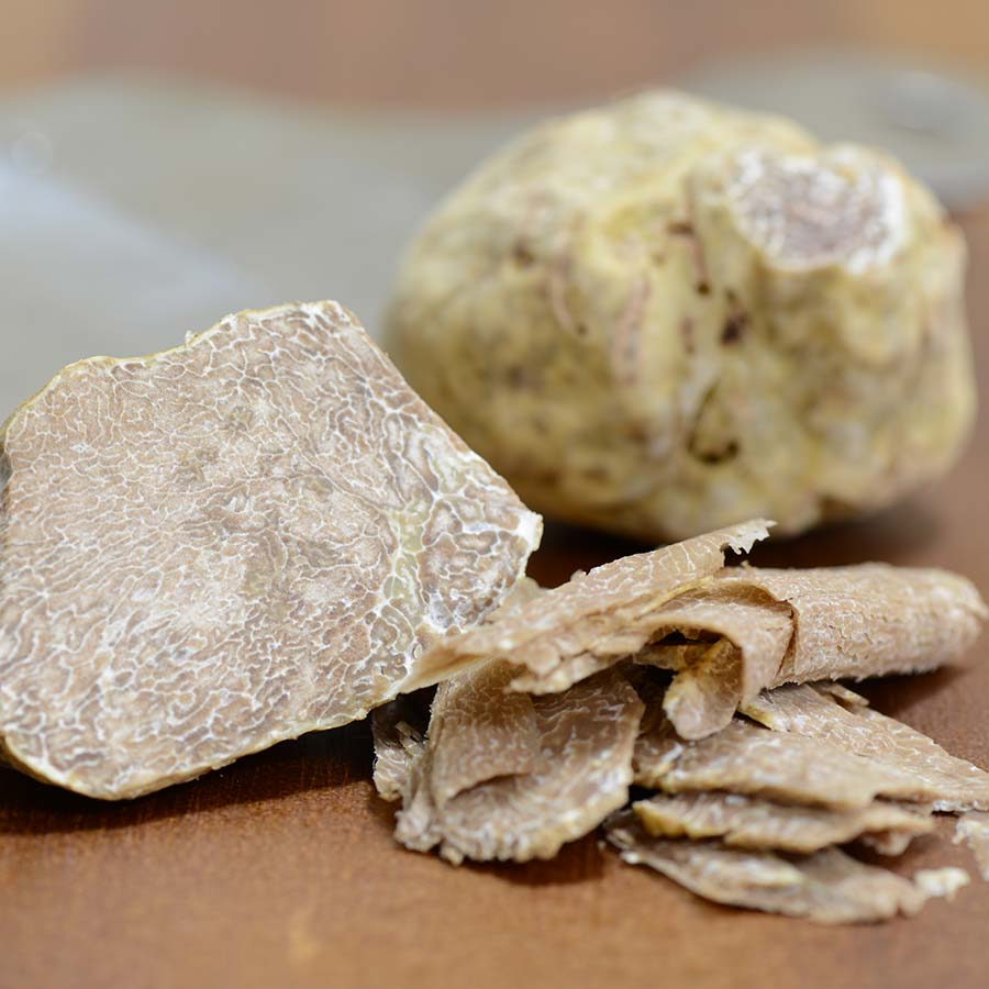 화이트 트러플 (White Truffles)