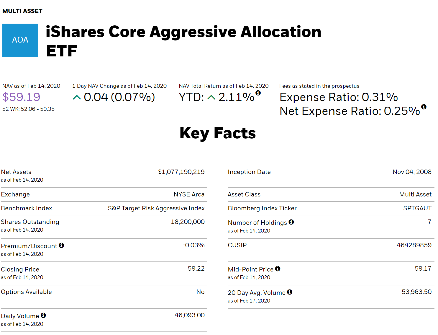  미국 공격형 자산배분 ETF AOA - 주식 80% 채권 20%