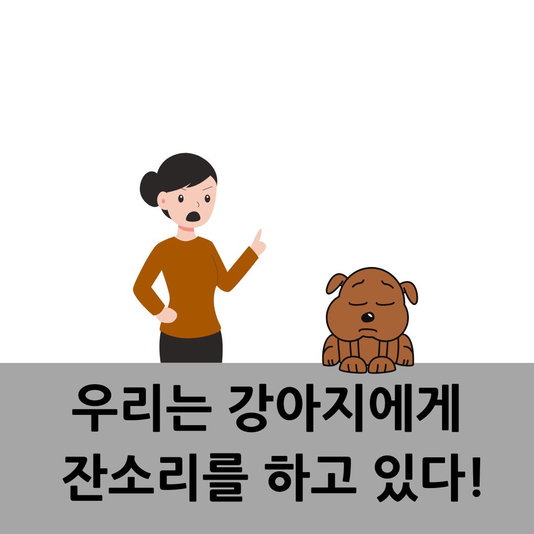  여러분은 강아지에게 잔소리를 하고 있나요?