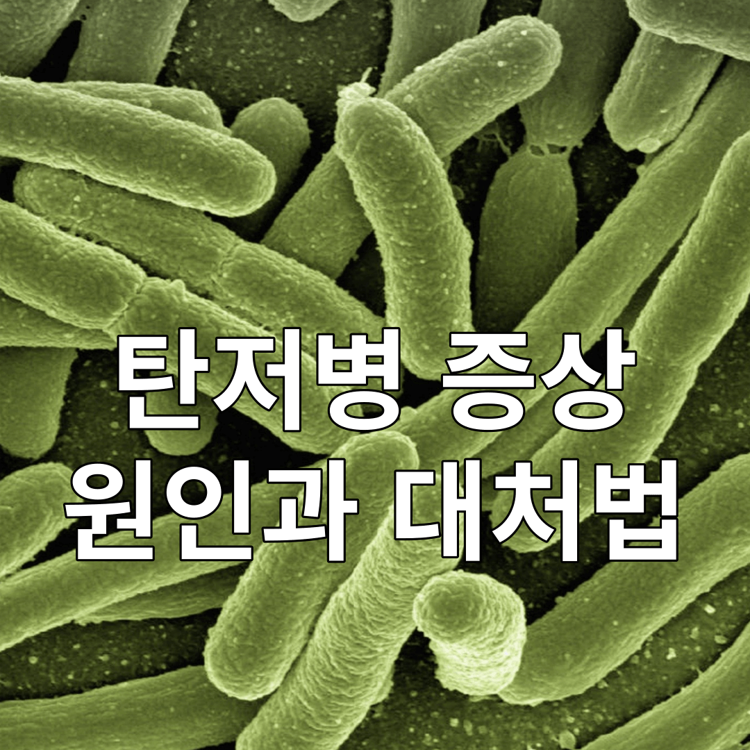 탄저병-증상-원인과-대처법