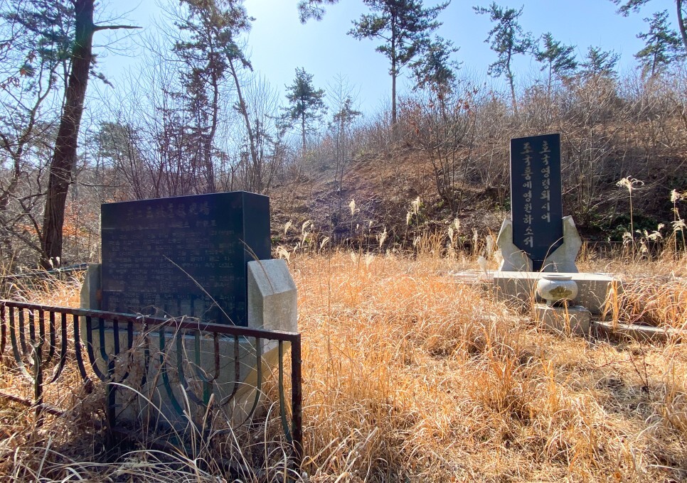 미룡 이미지