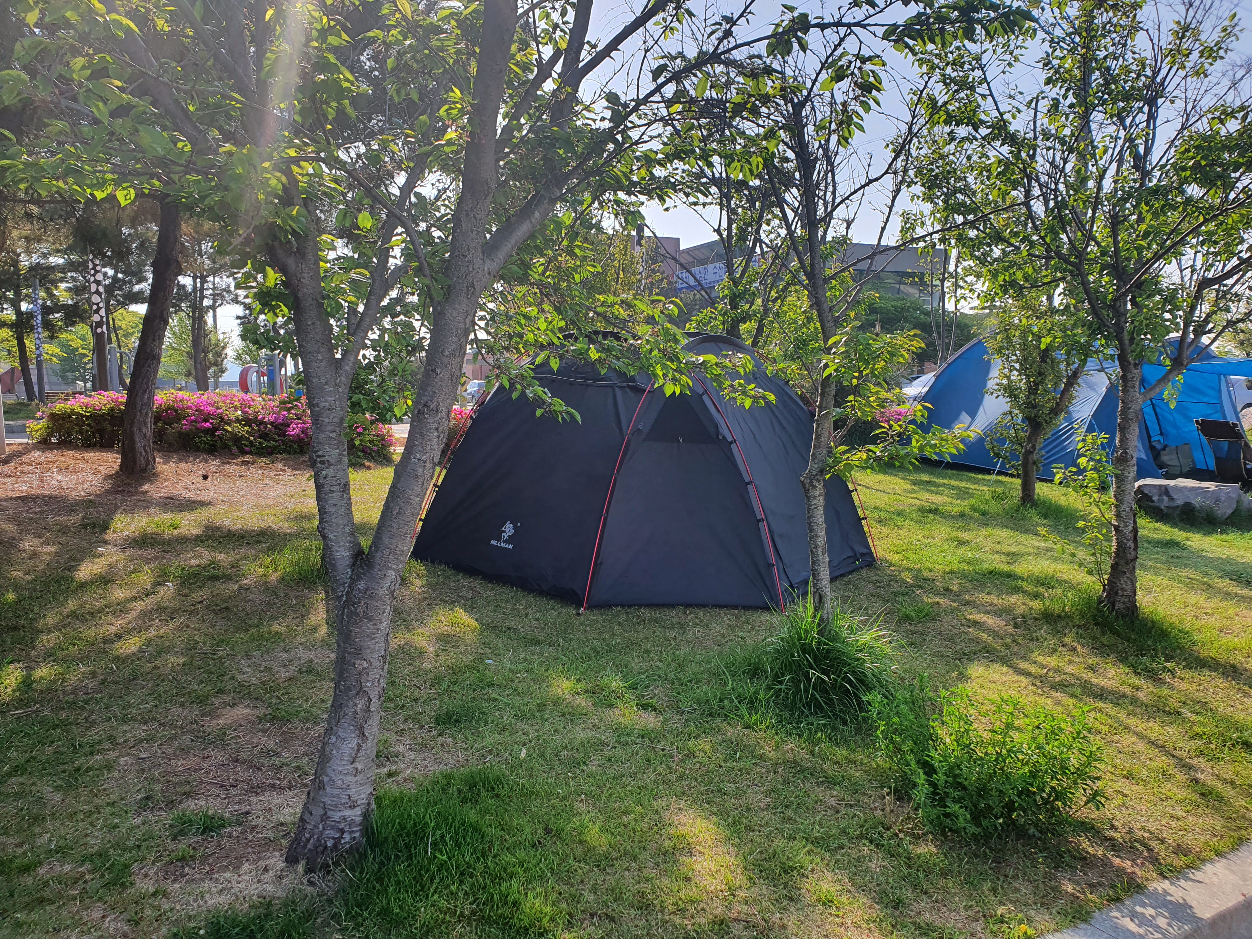  5월 탄도항 서울근교 노지캠핑 하기 좋은곳