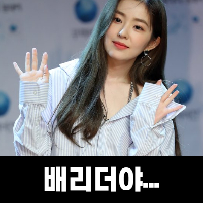  아이린 논란