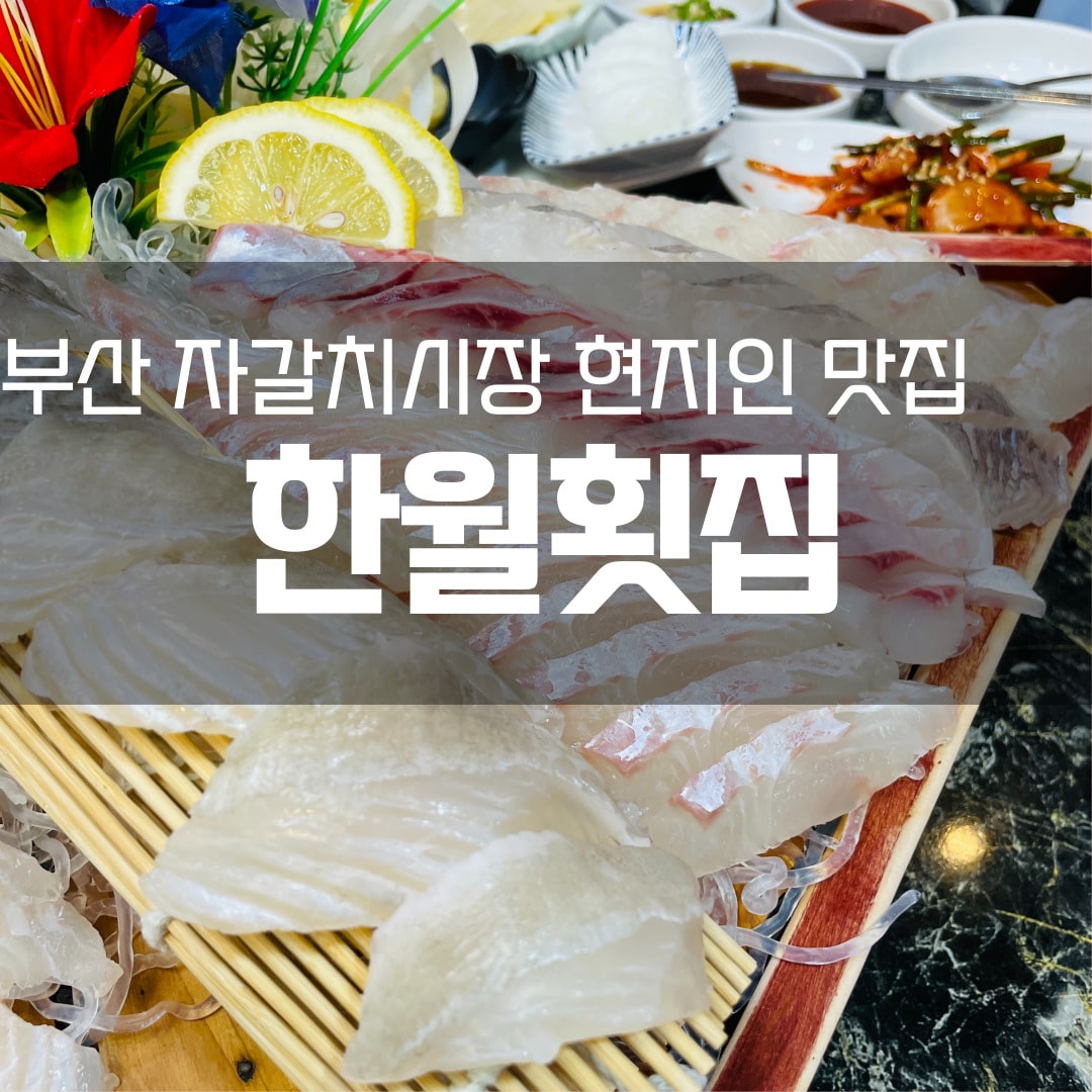 현지인 맛집 한월횟집