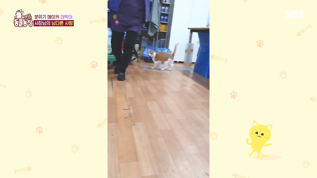 TV 동물농장.E1141.231016p-NEXT.mp4_20231015_174207.100.jpg